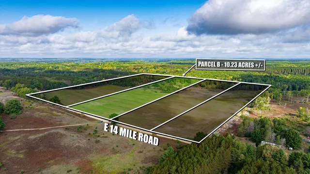 $49,900 | 0 East 14 Mile Road, Unit PARCEL B, Bitely, MI 49309