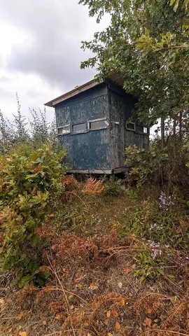 $49,900 | 0 East 14 Mile Road, Unit PARCEL B, Bitely, MI 49309