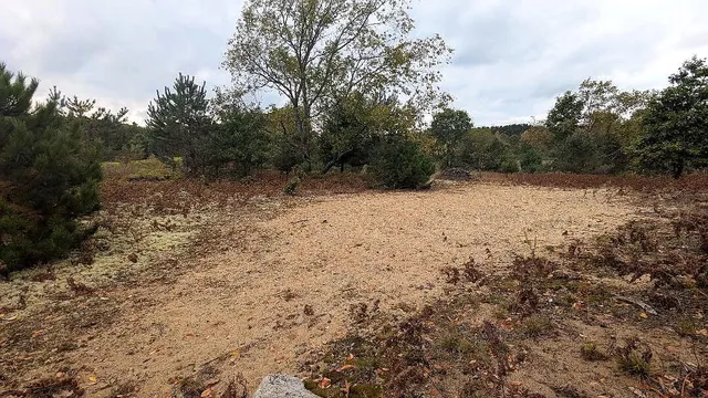 $49,900 | 0 East 14 Mile Road, Unit PARCEL B, Bitely, MI 49309