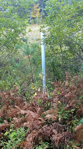 $49,900 | 0 East 14 Mile Road, Unit PARCEL B, Bitely, MI 49309