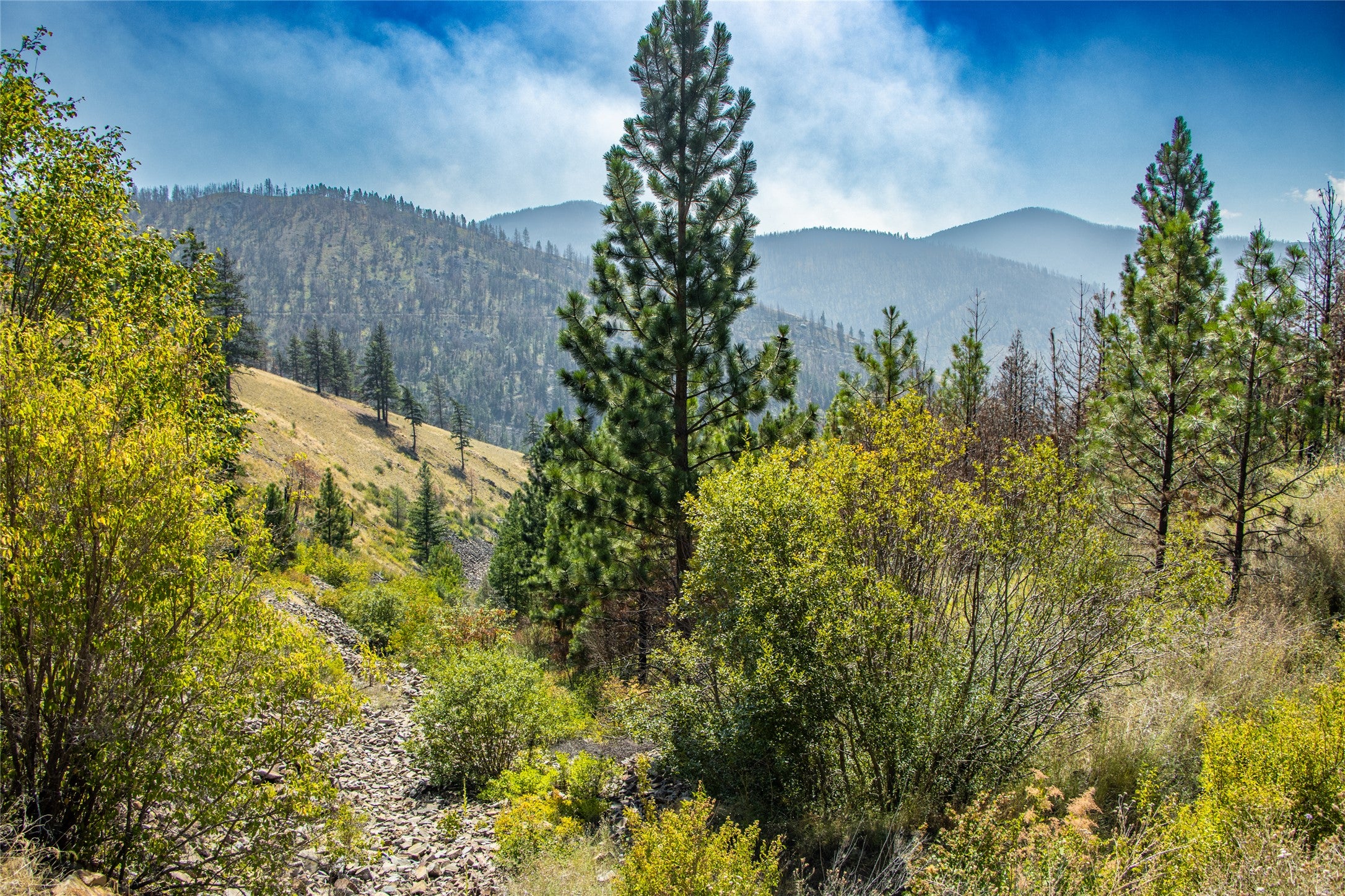 Tbd McLaughlin Creek Road Plains, MT 59859 - Photo 14 of 40 Gallery Image 14