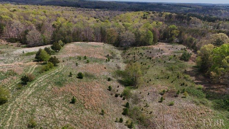 -tract 1 Clarion Road Altavista, VA 24517 - Photo 3 of 11 a view of a yard with a wooden fence