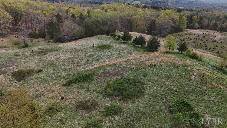 -tract 1 Clarion Road Altavista, VA 24517 - Photo 5 of 11 a view of a dry yard with green space and mountain view