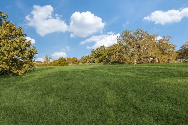 a view of a big yard with flower plants and large tree