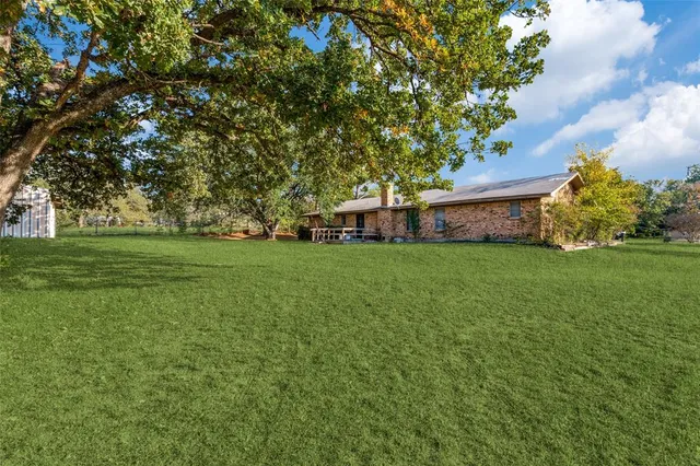 a view of a park with large trees