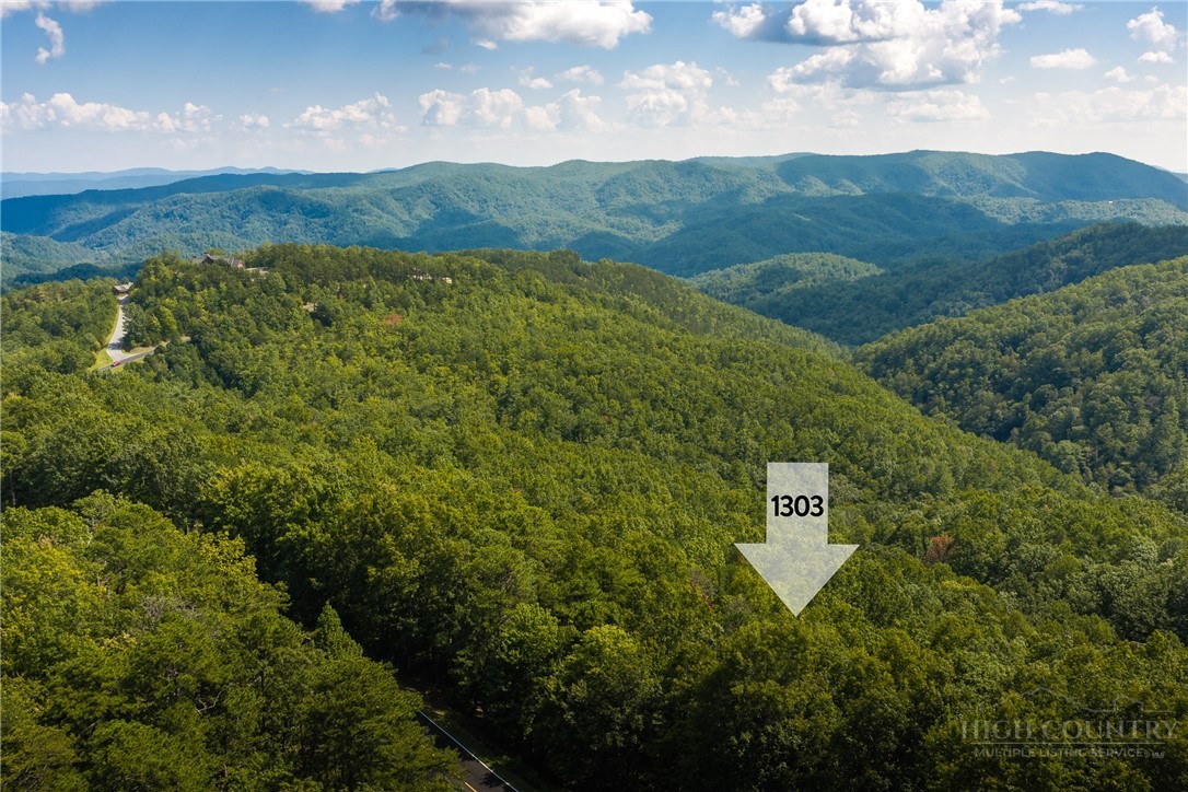 1303 Reynolds Parkway Boone, NC 28607 - Photo 6 of 50 Gallery Image 6
