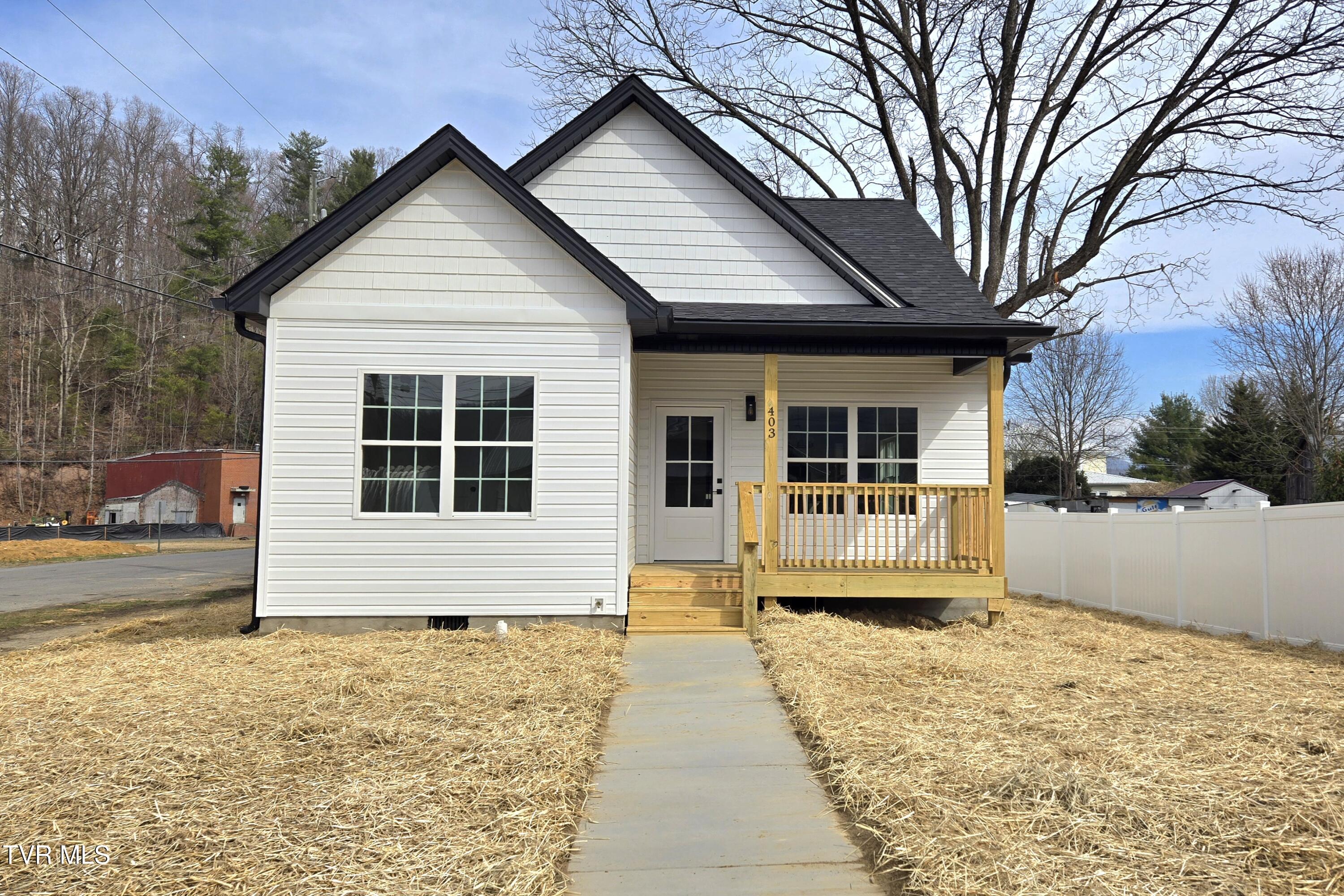 403 Walnut Street Erwin, TN 37650 - Photo 2 of 31 20250314_113821