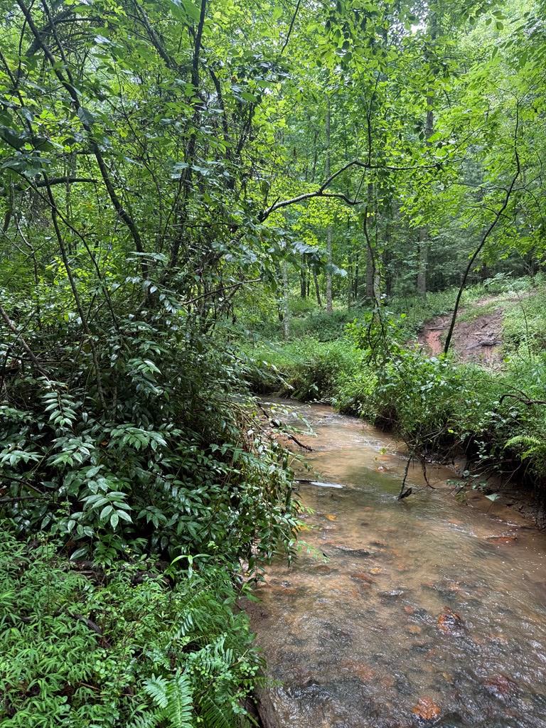 Tbd Pine Log Church Road Brasstown, NC 28902 - Photo 1 of 24 Main View