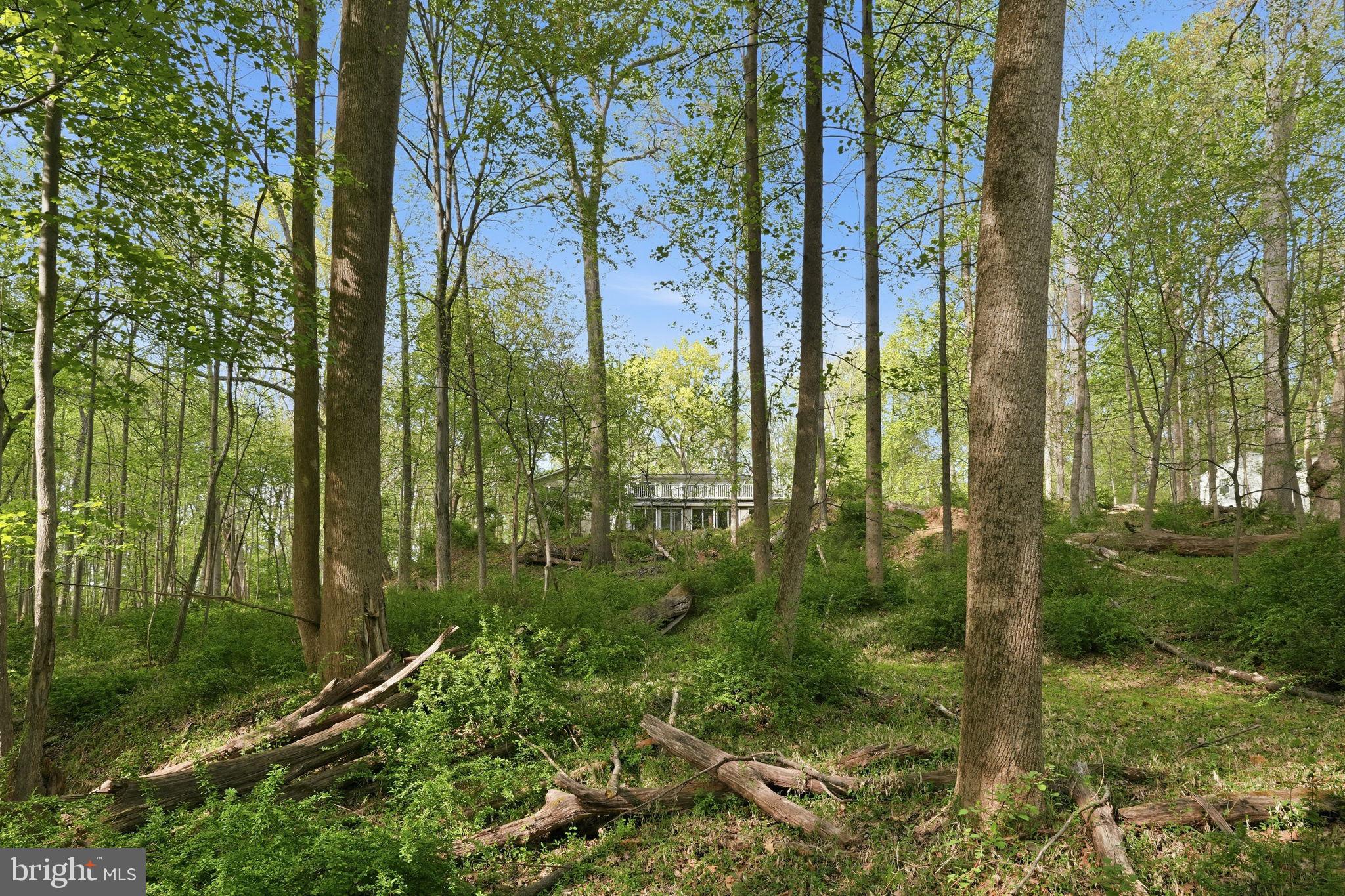 17107 Overhill Road Rockville, MD 20855 - Photo 2 of 39