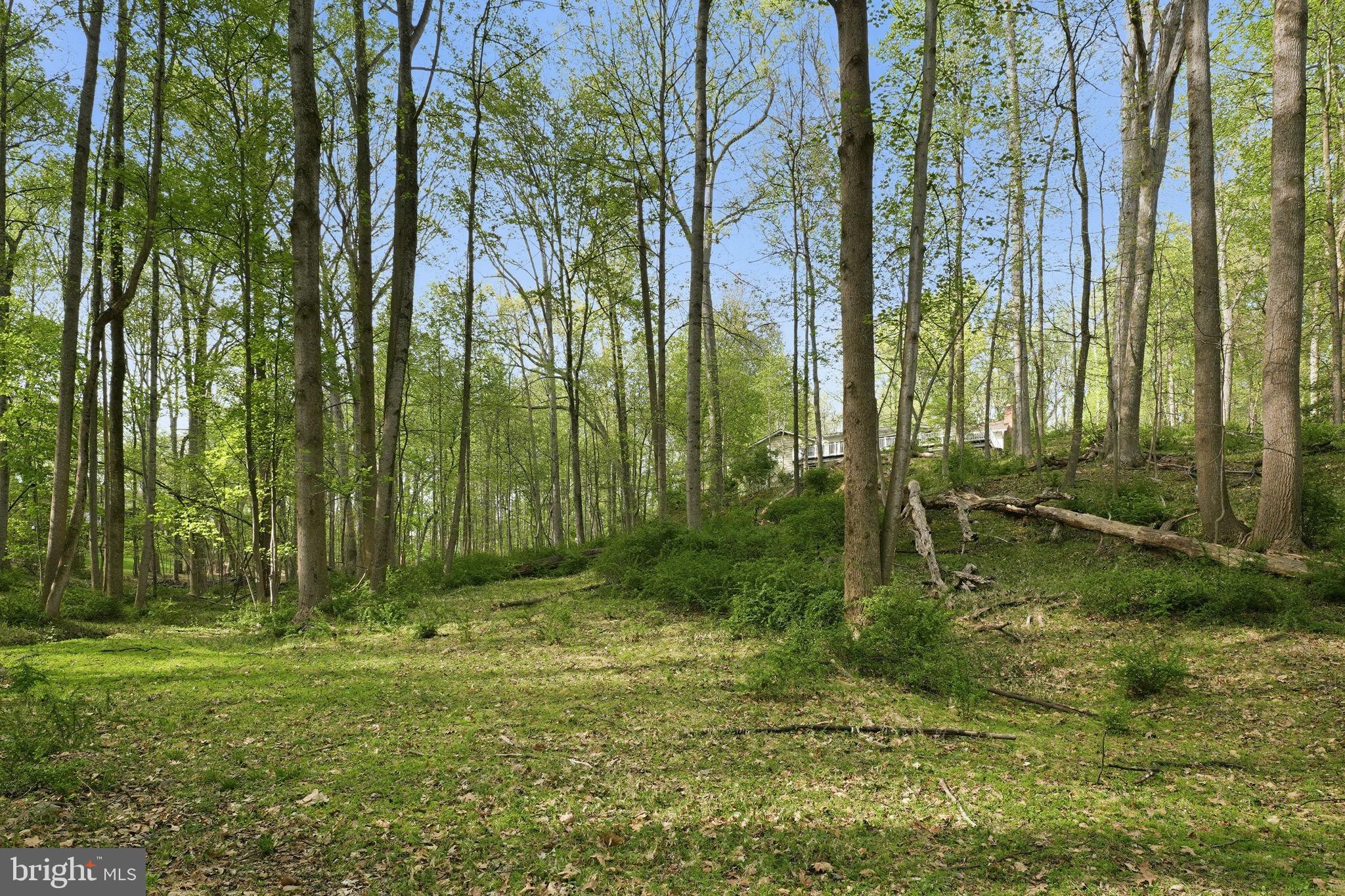 17107 Overhill Road Rockville, MD 20855 - Photo 34 of 37 a view of backyard with green space