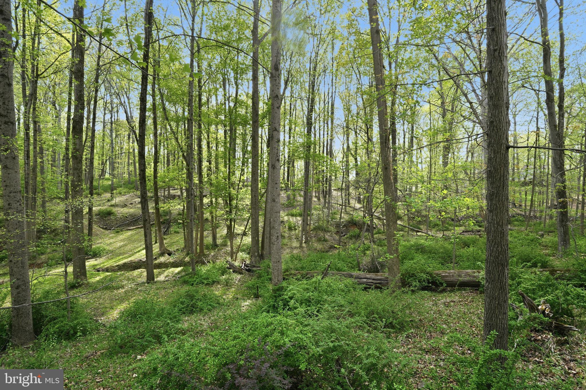 17107 Overhill Road Rockville, MD 20855 - Photo 35 of 39