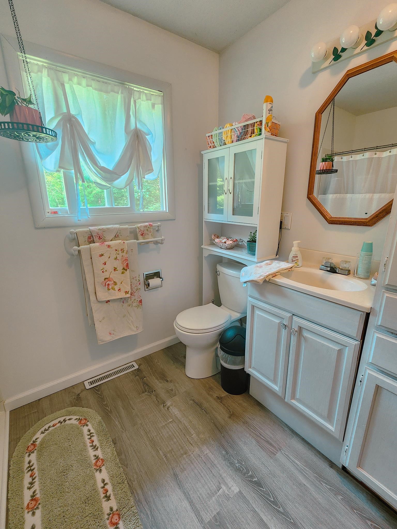 4930 North Alamando Road Coleman, MI 48618 - Photo 29 of 52