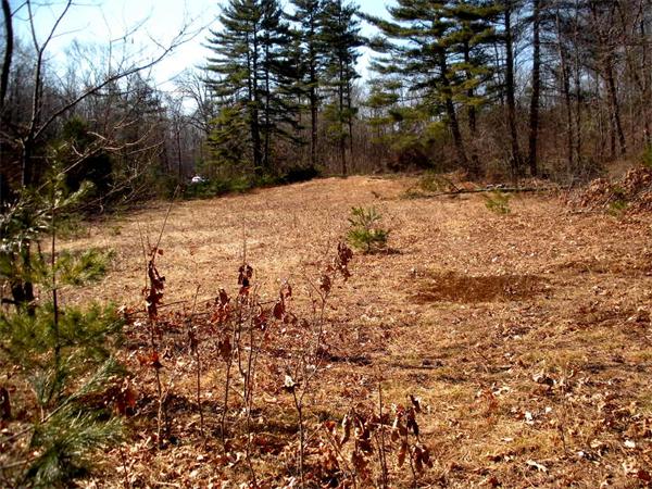 Lot 33-2 Nevins Road Hollis, NH 03049 - Photo 2 of 5