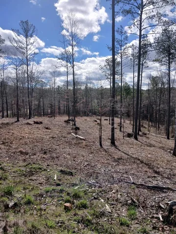 $174,900 | Lot 337 Timber Creek Trail, Talking Rock, GA 30175