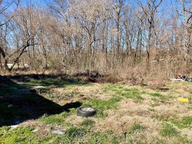 a view of a yard with trees