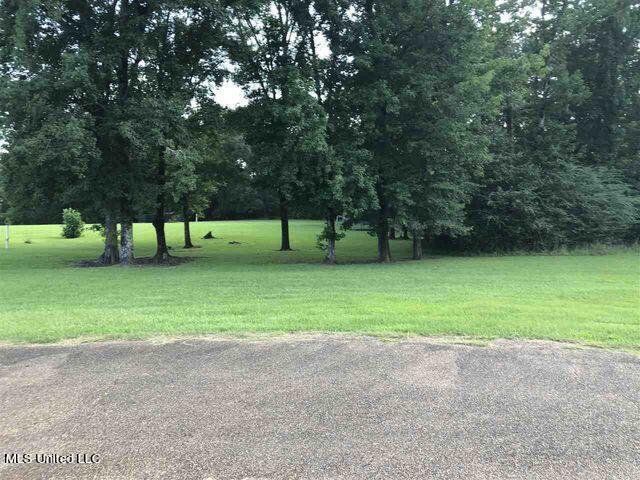 0 Janee Cove Byram, MS 39212 - Photo 3 of 4 janee cv lot 4