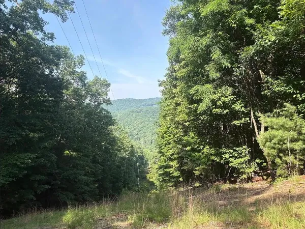 $35,000 | 0 Burnt Mountain Road, Jasper, GA 30143
