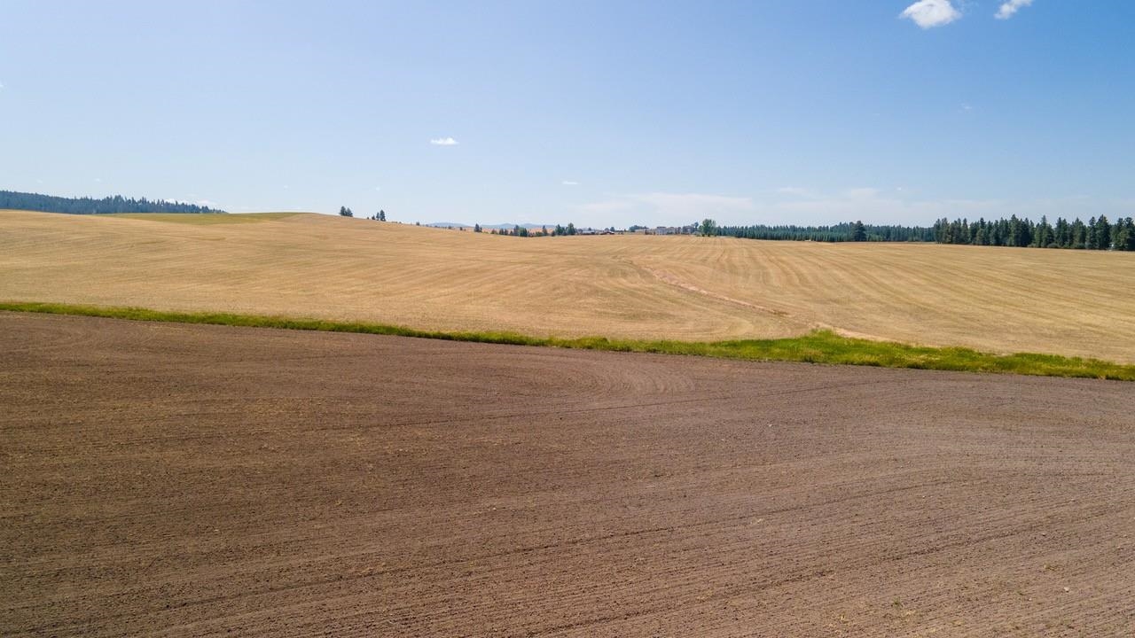 13307 East Gibbs Road Mica, WA 99023 - Photo 2 of 8