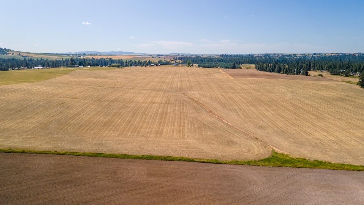 13307 East Gibbs Road Mica, WA 99023 - Photo 3 of 8