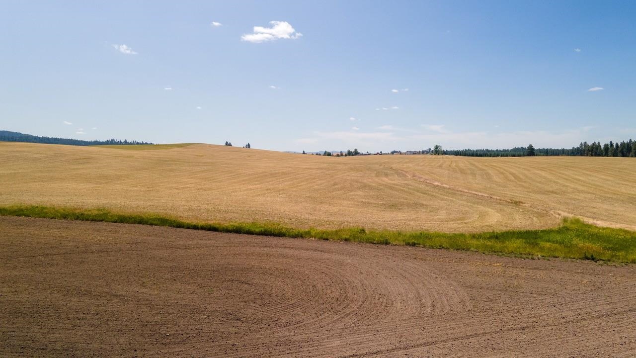 13307 East Gibbs Road Mica, WA 99023 - Photo 6 of 8