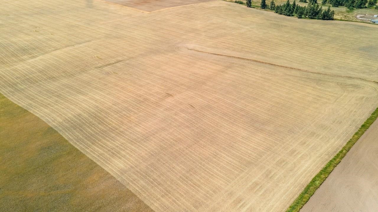 13307 East Gibbs Road Mica, WA 99023 - Photo 8 of 8