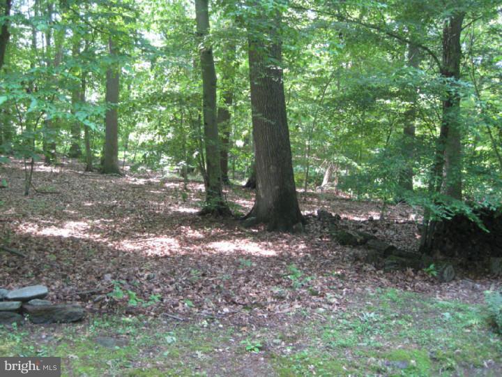 406 Lightfoot Drive Downingtown, PA 19335 - Photo 15 of 15 Back Yard