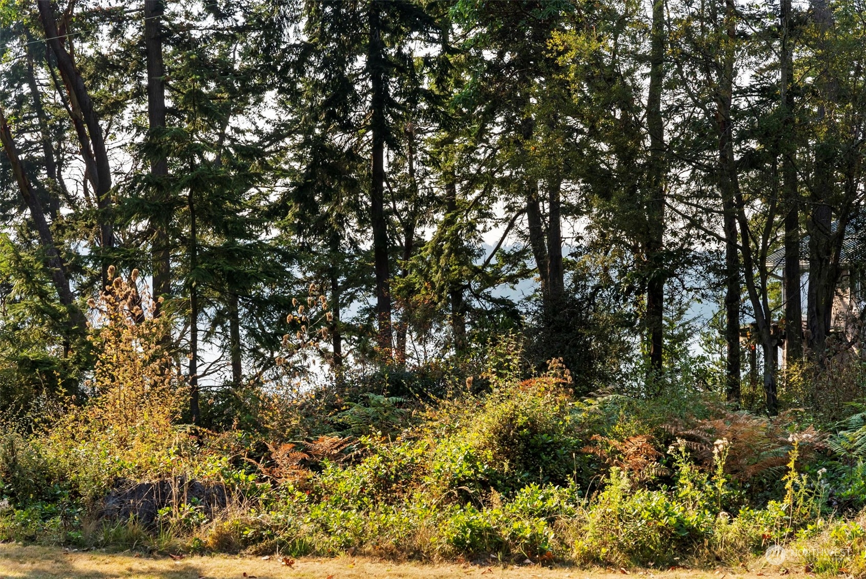 8754 Flagler Road Nordland, WA 98358 - Photo 2 of 26 Gallery Image 2