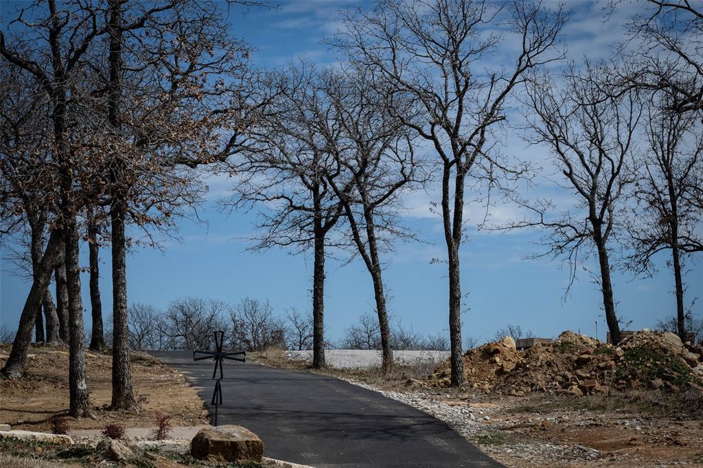 133 Sunset Bay Pointe Court Chico, TX 76431 - Photo 26 of 40 View of road