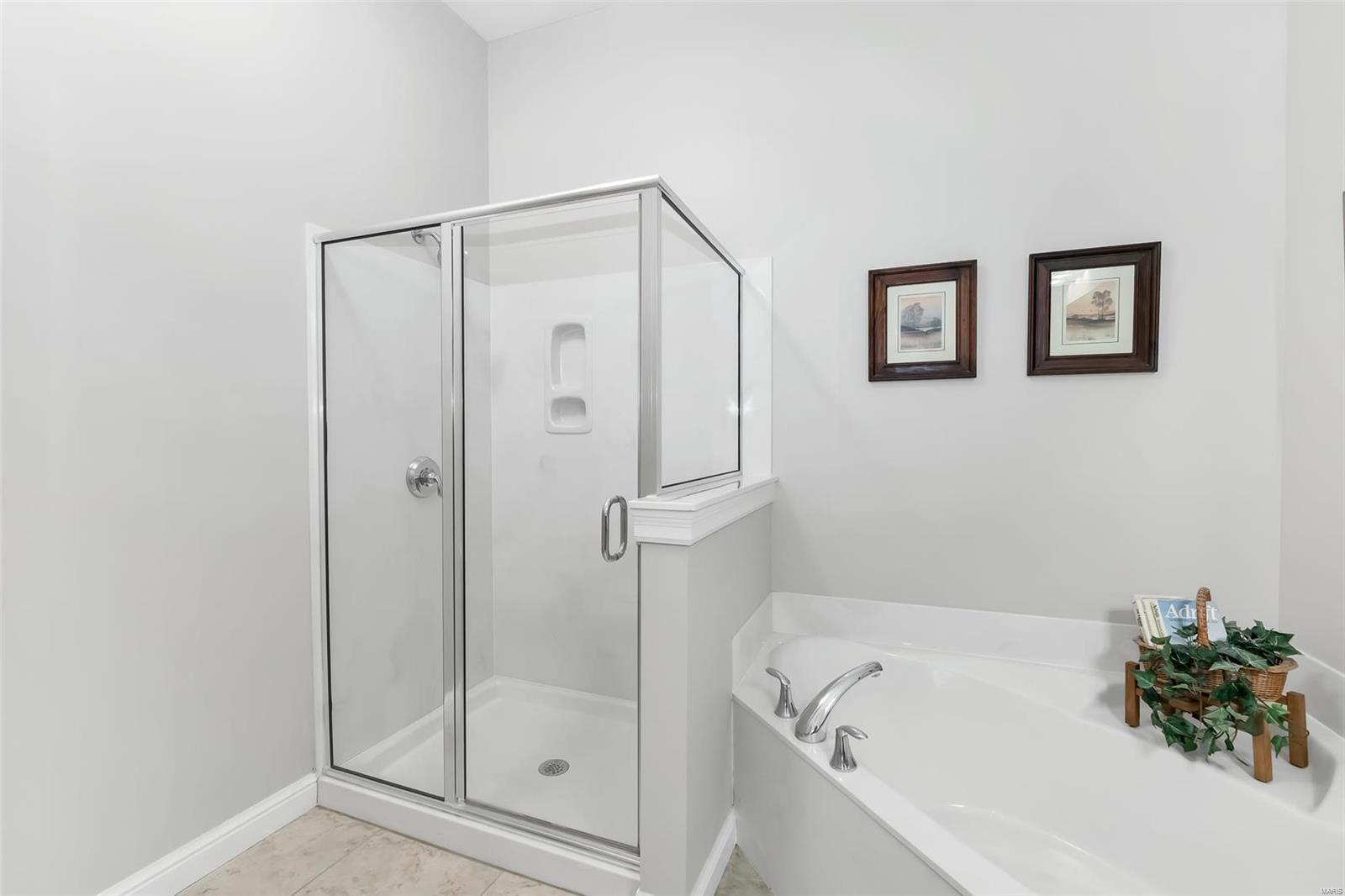 651 Barrow Ridge Court Ellisville, MO 63021 - Photo 23 of 31 Gallery Image 23
