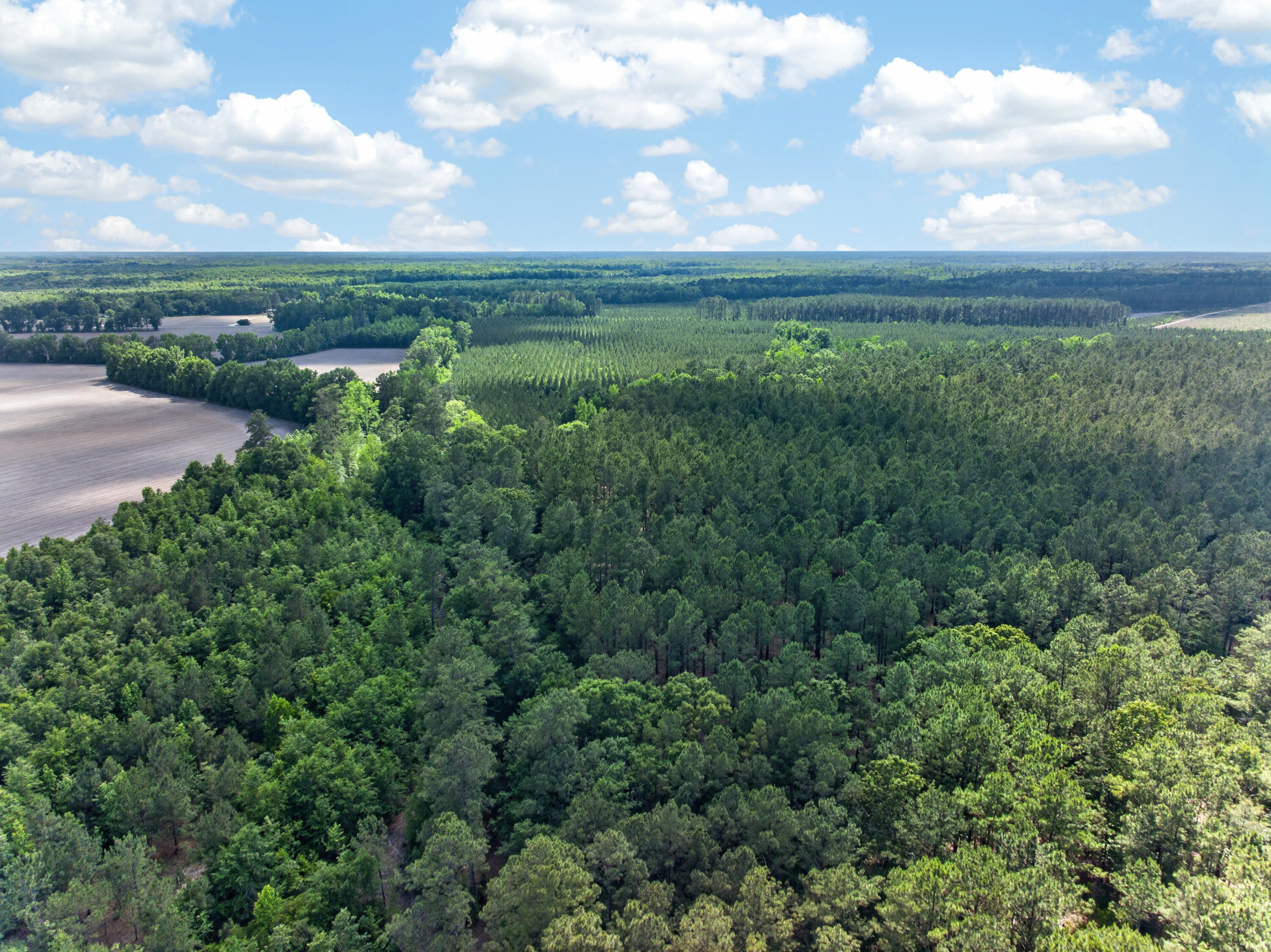 5120 North Brewington Road, Unit 10 Alcolu, SC 29001 - Photo 28 of 40 DJI_20260521143439_0108_D