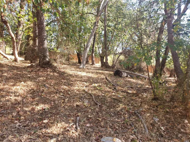 a view of outdoor space with trees