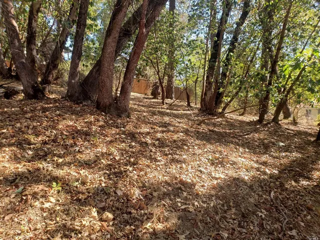 a view of outdoor space with trees