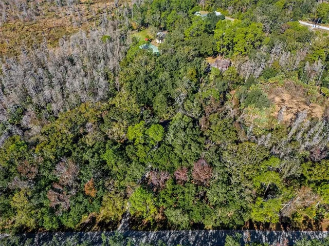a view of a house with a lush green forest