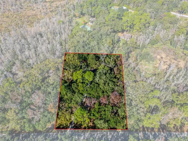 a view of a garden with plants