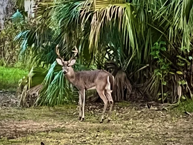 $580,000 | 8725 Quail Run Drive, Wesley Chapel, FL 33544