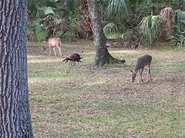 $580,000 | 8725 Quail Run Drive, Wesley Chapel, FL 33544