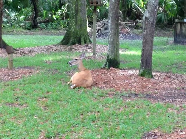 $580,000 | 8725 Quail Run Drive, Wesley Chapel, FL 33544