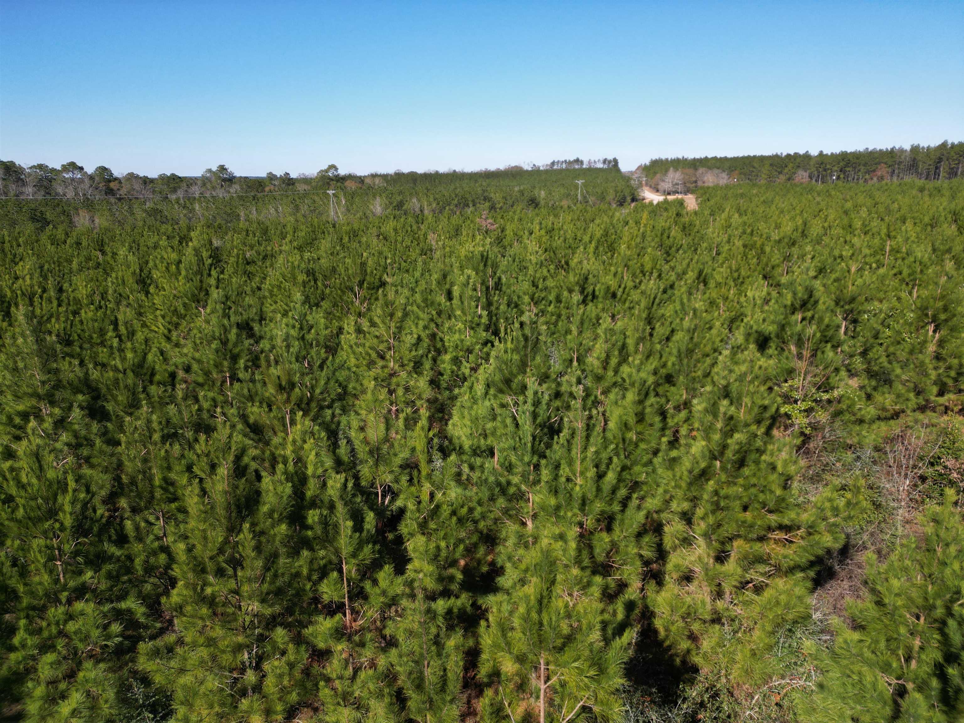 Lot 5 Robinsonville Road Atmore, AL 36502 - Photo 11 of 18
