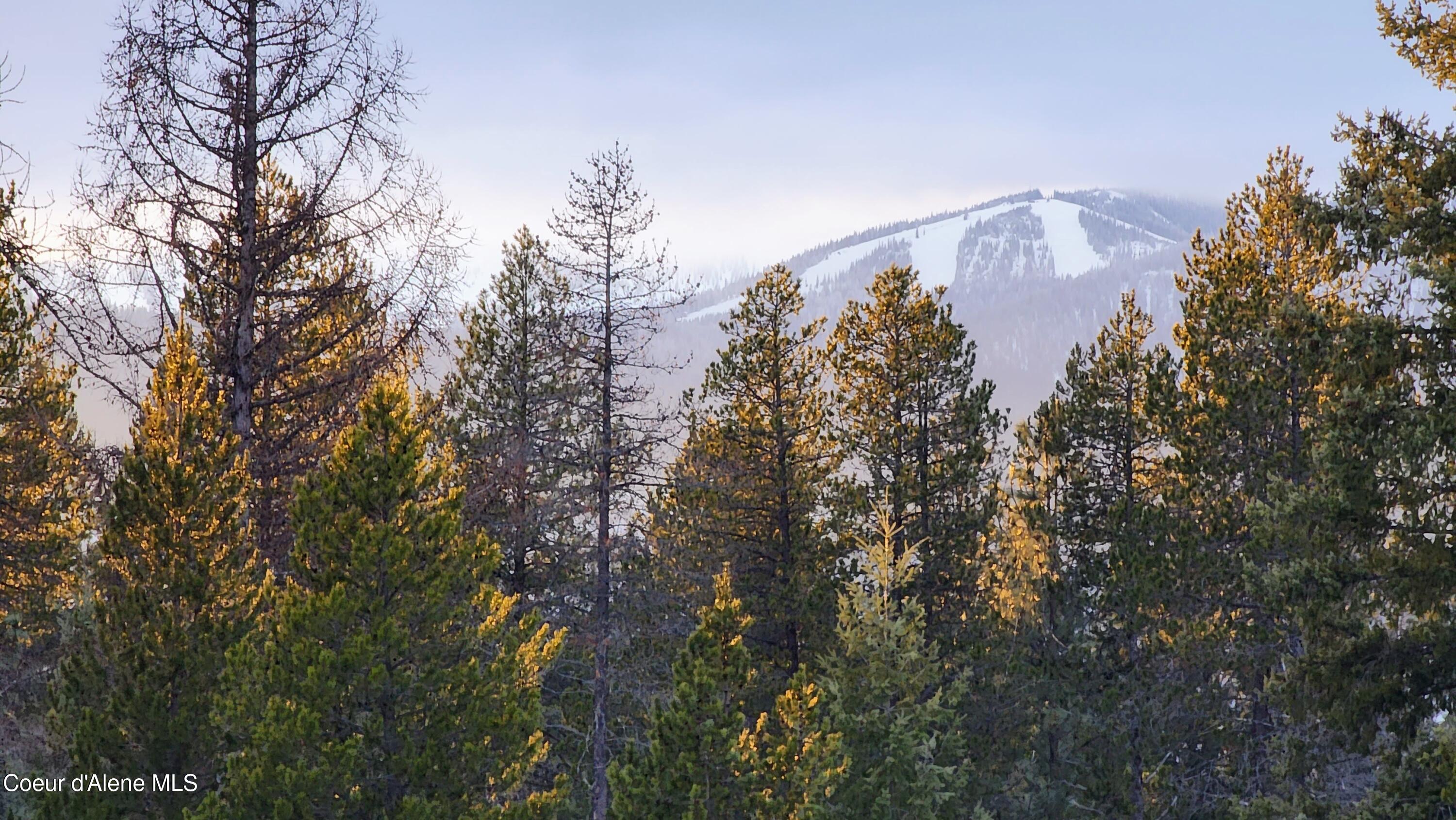 672 Hopkins Road Sandpoint, ID 83864 - Photo 4 of 72 20260122_155923 - Copy
