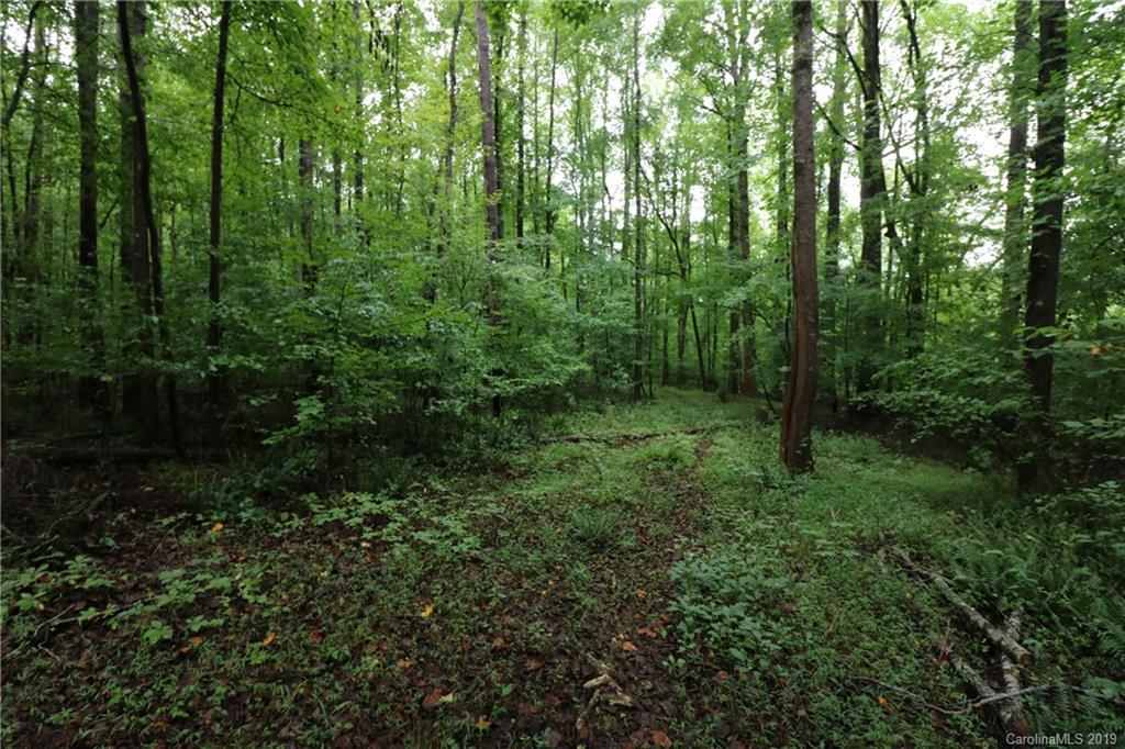 7110 Plyler Mill Road Monroe, NC 28112 - Photo 30 of 32
