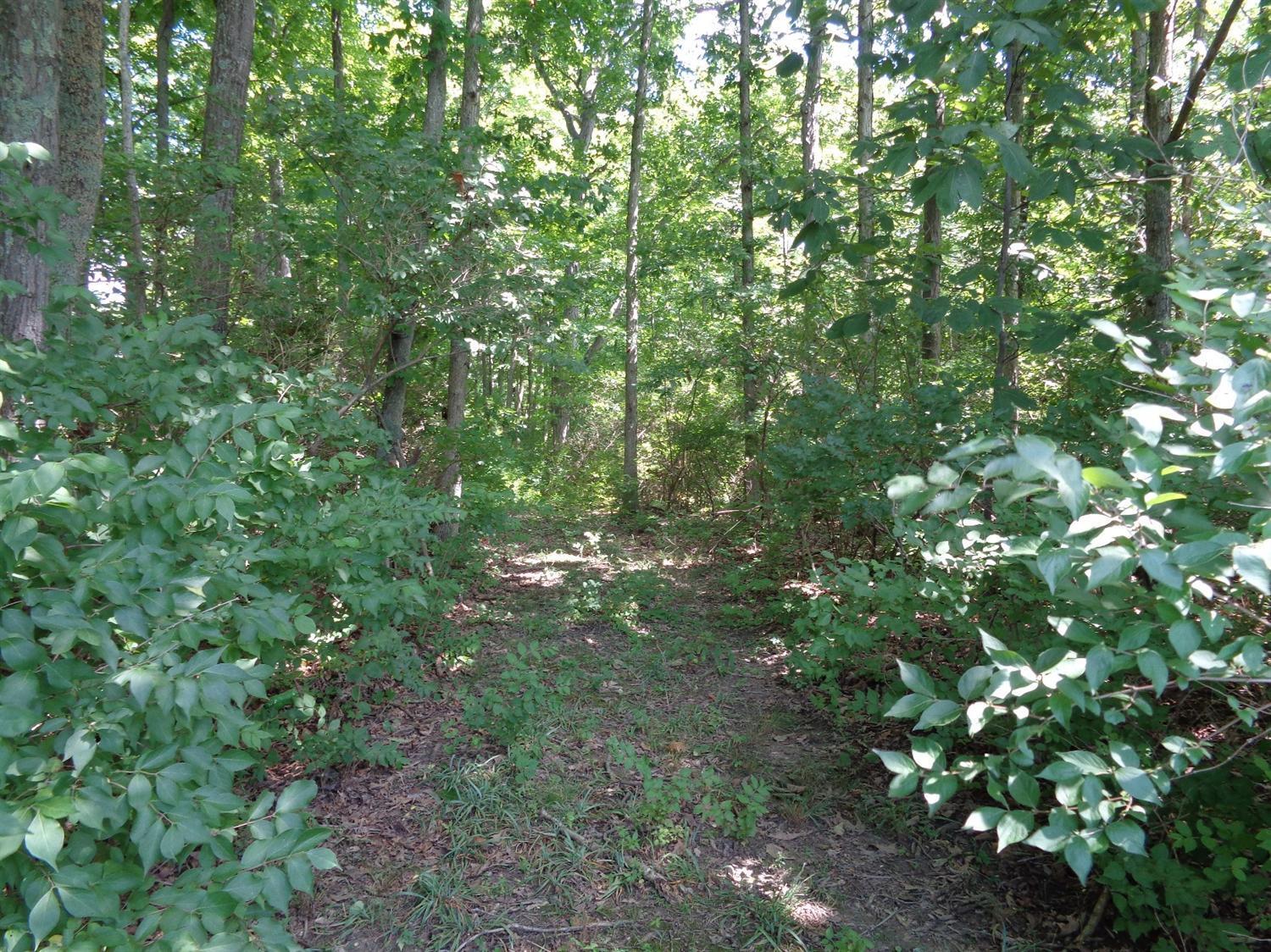 Lot Savage Savage Road Fayetteville, OH 45118 - Photo 1 of 1