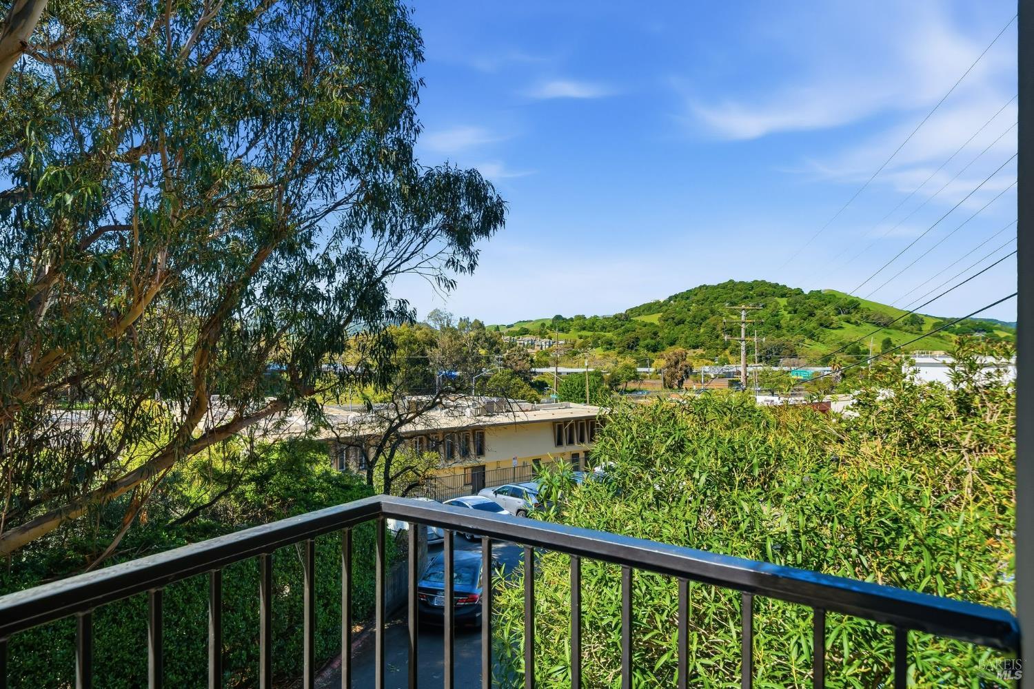 10 Professional Center Parkway, Unit 1 San Rafael, CA 94903 - Photo 7 of 35 a view of a balcony with an outdoor space