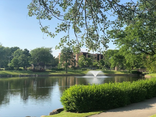 725 West Huntington Commons Road, Unit 401 Mount Prospect, IL 60056 - Photo 13 of 13 a view of a lake with a big yard