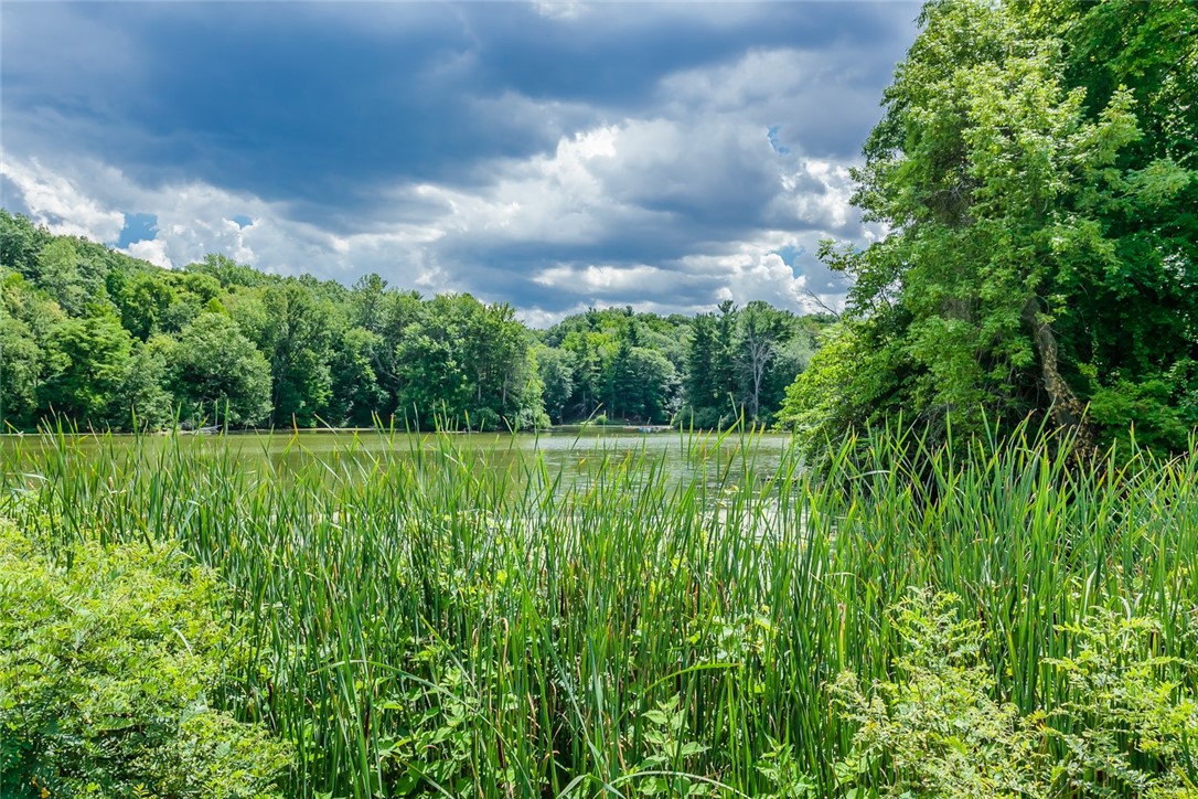 83 Wildmere Road Irondequoit, NY 14617 - Photo 42 of 48 Durand Eastman Park