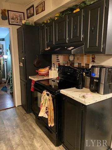 7359 Lewis Ford Road Gladys, VA 24554 - Photo 10 of 24 a kitchen with granite countertop a refrigerator stove and cabinets
