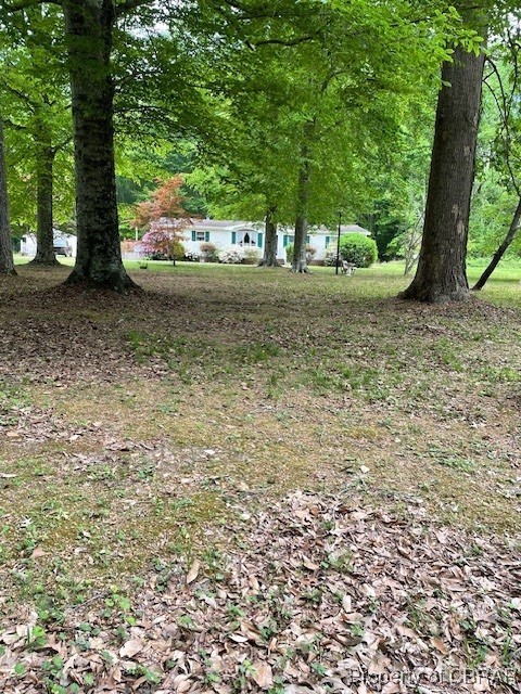 338 Turks Ferry Road Saluda, VA 23149 - Photo 1 of 1 Gallery Image 1
