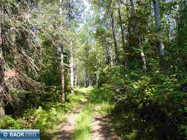 Lot 13 Ranta Drive Makinen, MN 55763 - Photo 1 of 1
