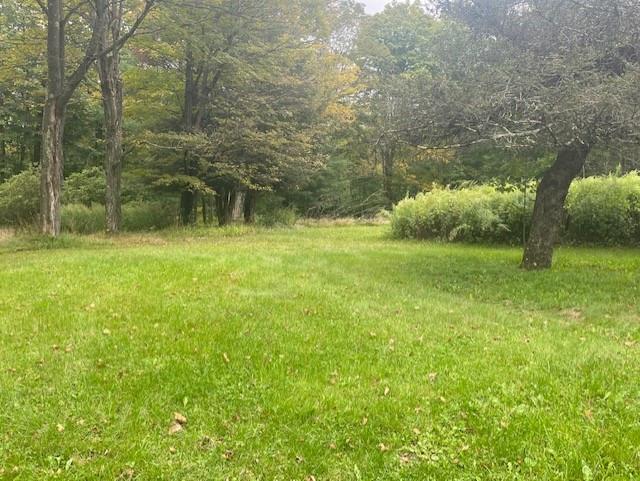 235 Sohne Road Mount Vision, NY 13810 - Photo 1 of 1