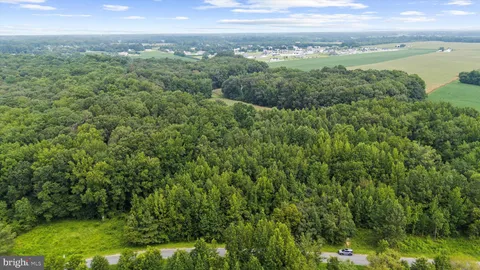 a view of a city with lush green forest