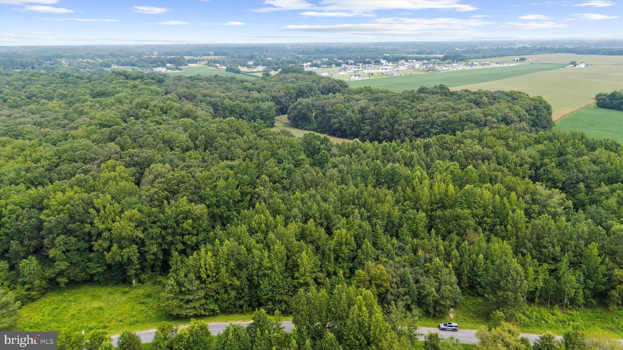 Burnt Mill Road Ridgely, MD 21660 - Photo 5 of 7 a view of a city with lush green forest